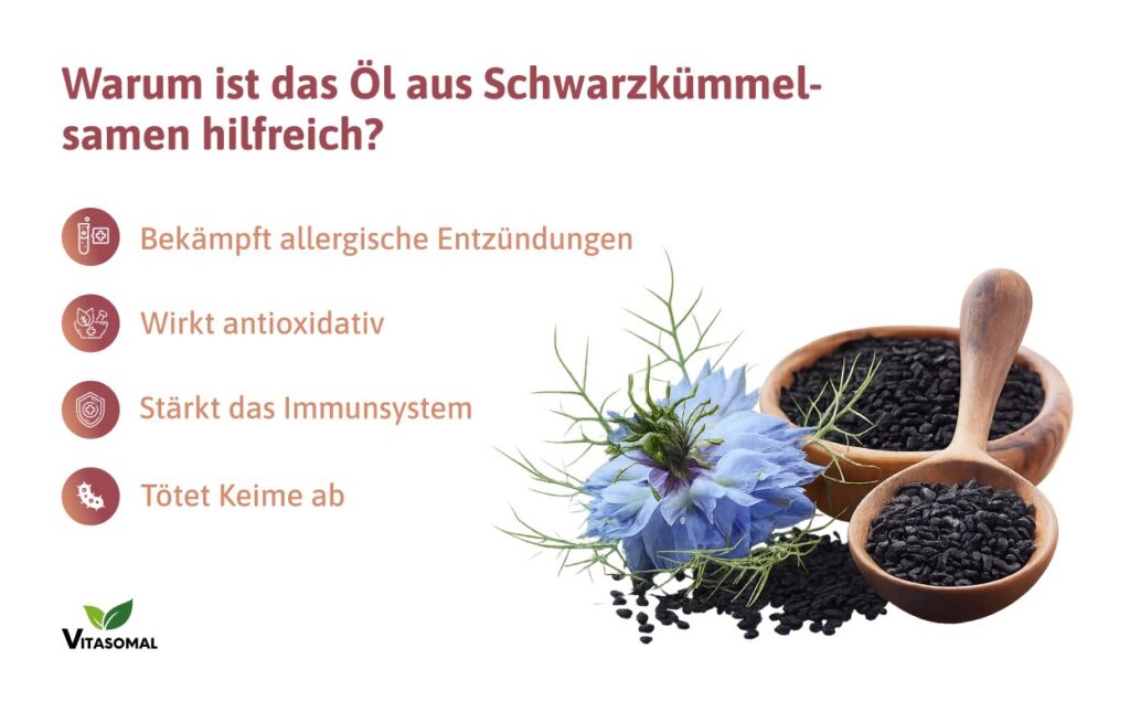 allergie-schwarzkümmelöl-kapseln-warum-hilfreich