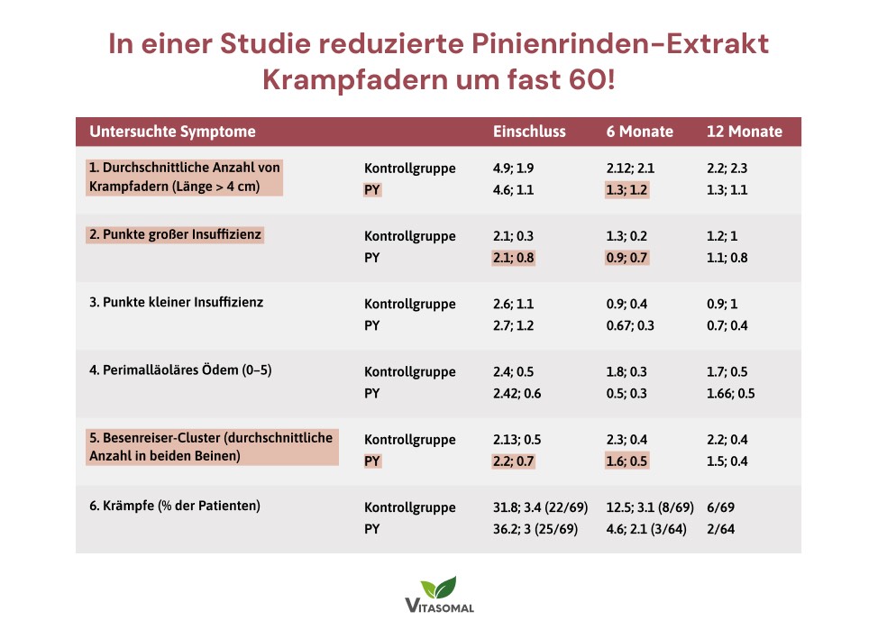 In einer Studie reduzierte Pinienrinden-Extrakt Krampfadern um fast 60!